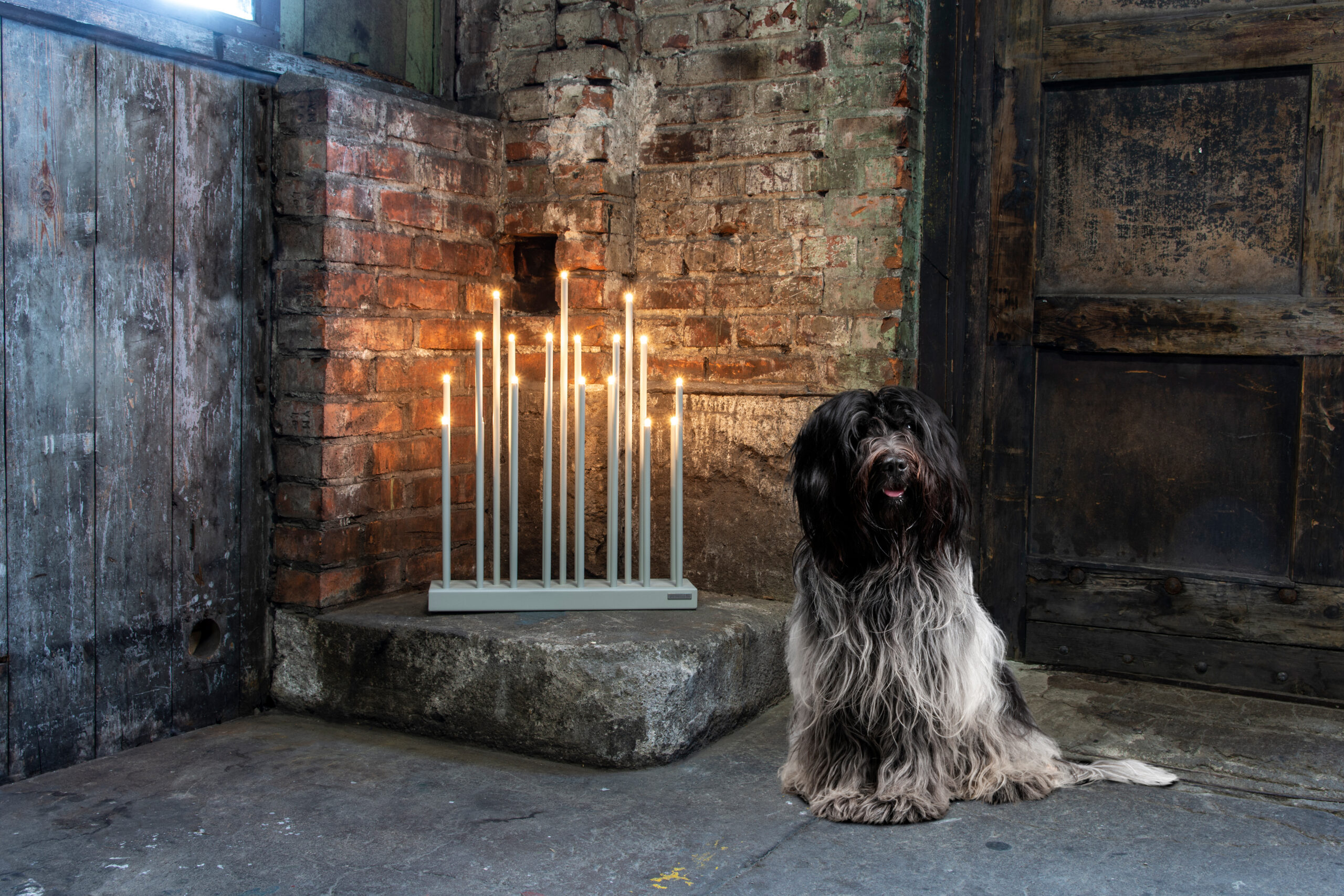 Elflugan Grande - Bild 6